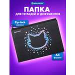 Папка для тетрадей Brauberg А4