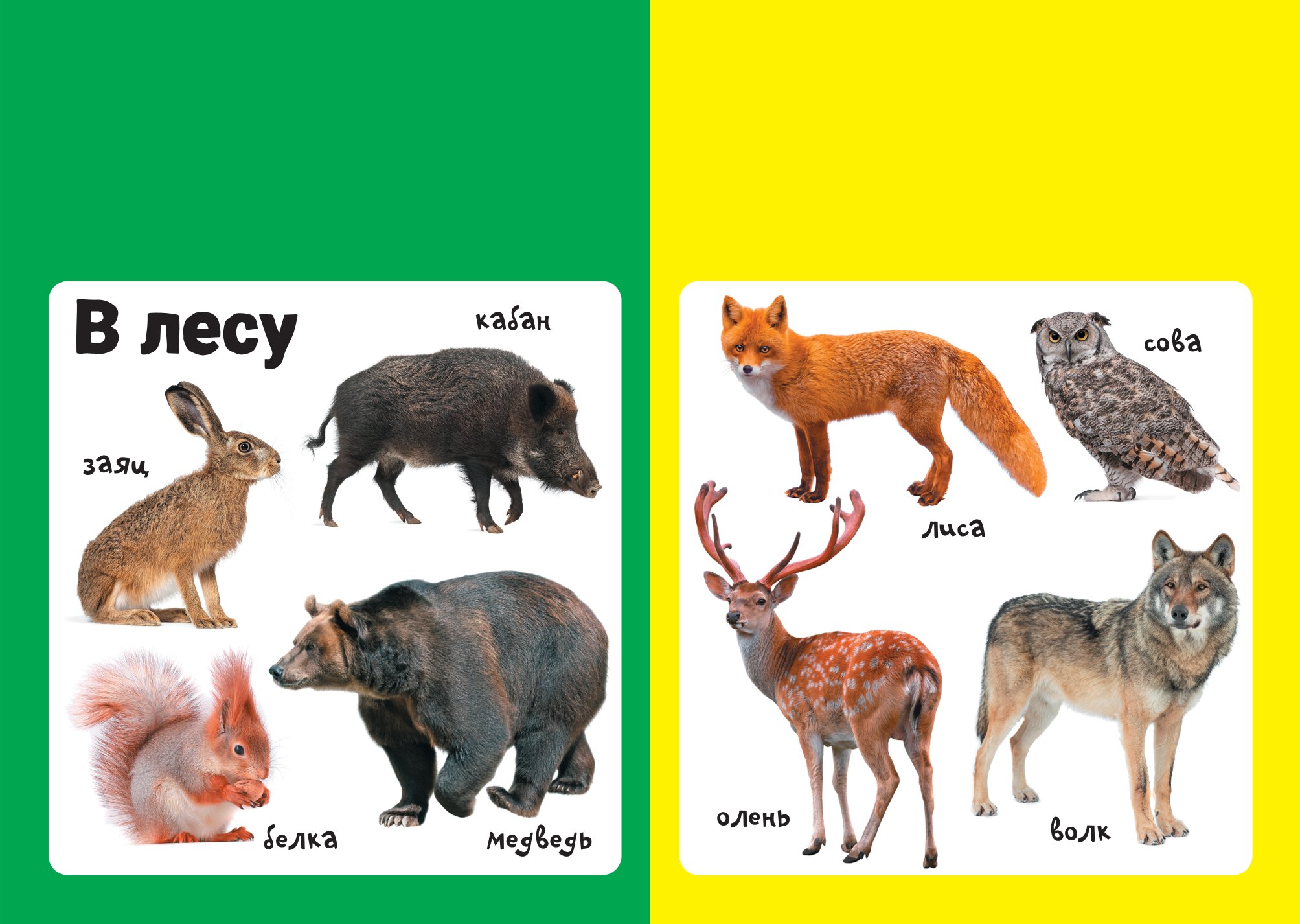 Книга АСТ Мягкая книжка для малыша Животные - фото 3