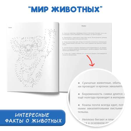 Раскраска Проф-Пресс антистресс соедини по точкам 16 картин. Набор из 2 шт. Животные+мир животных