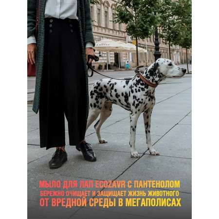 Мыло для собак ECOZAVR с Пантенолом 500мл