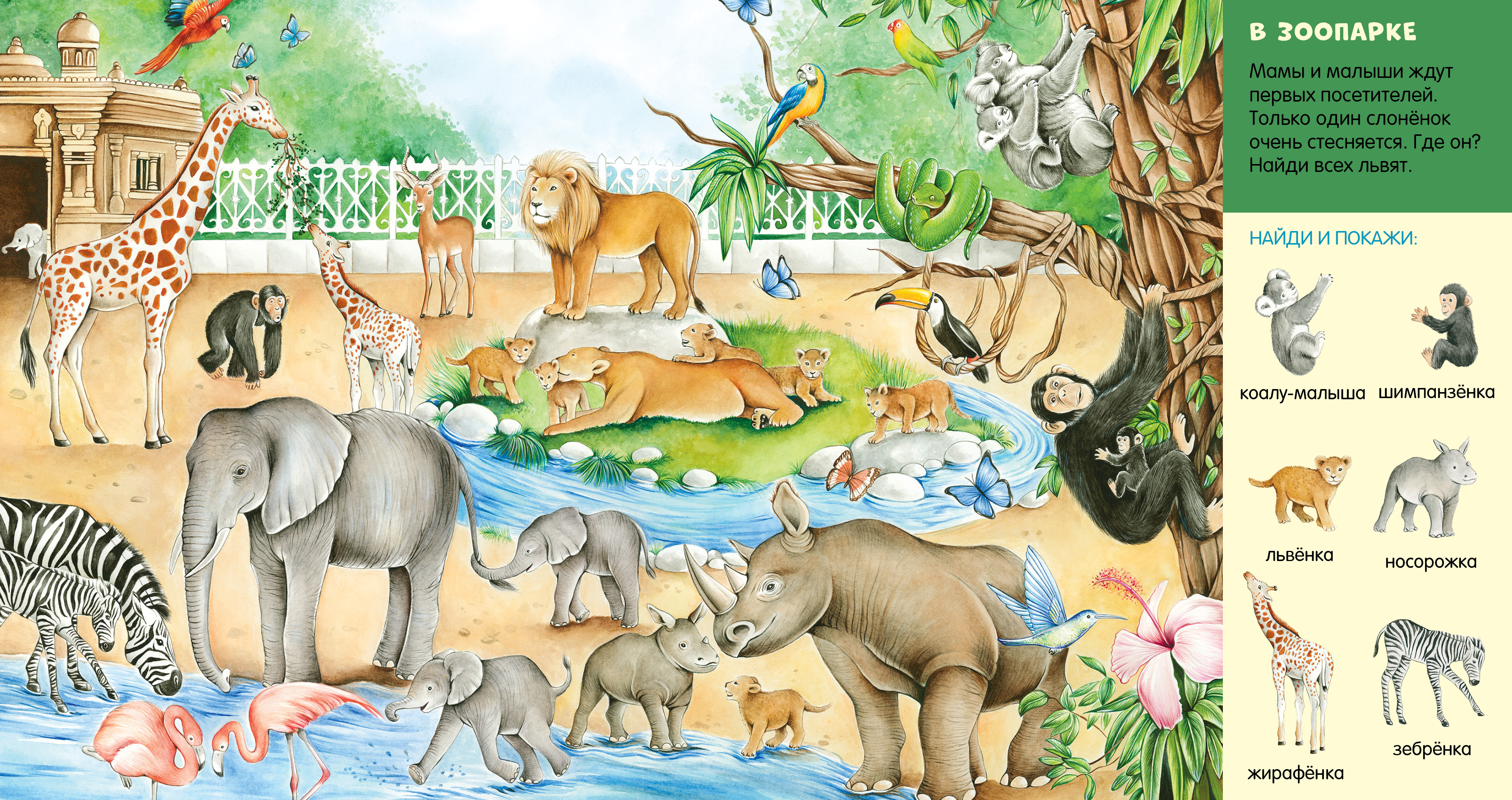 Книга Clever Найди и покажи, малыш - фото 2