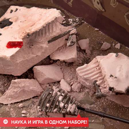 Набор для раскопок 4M