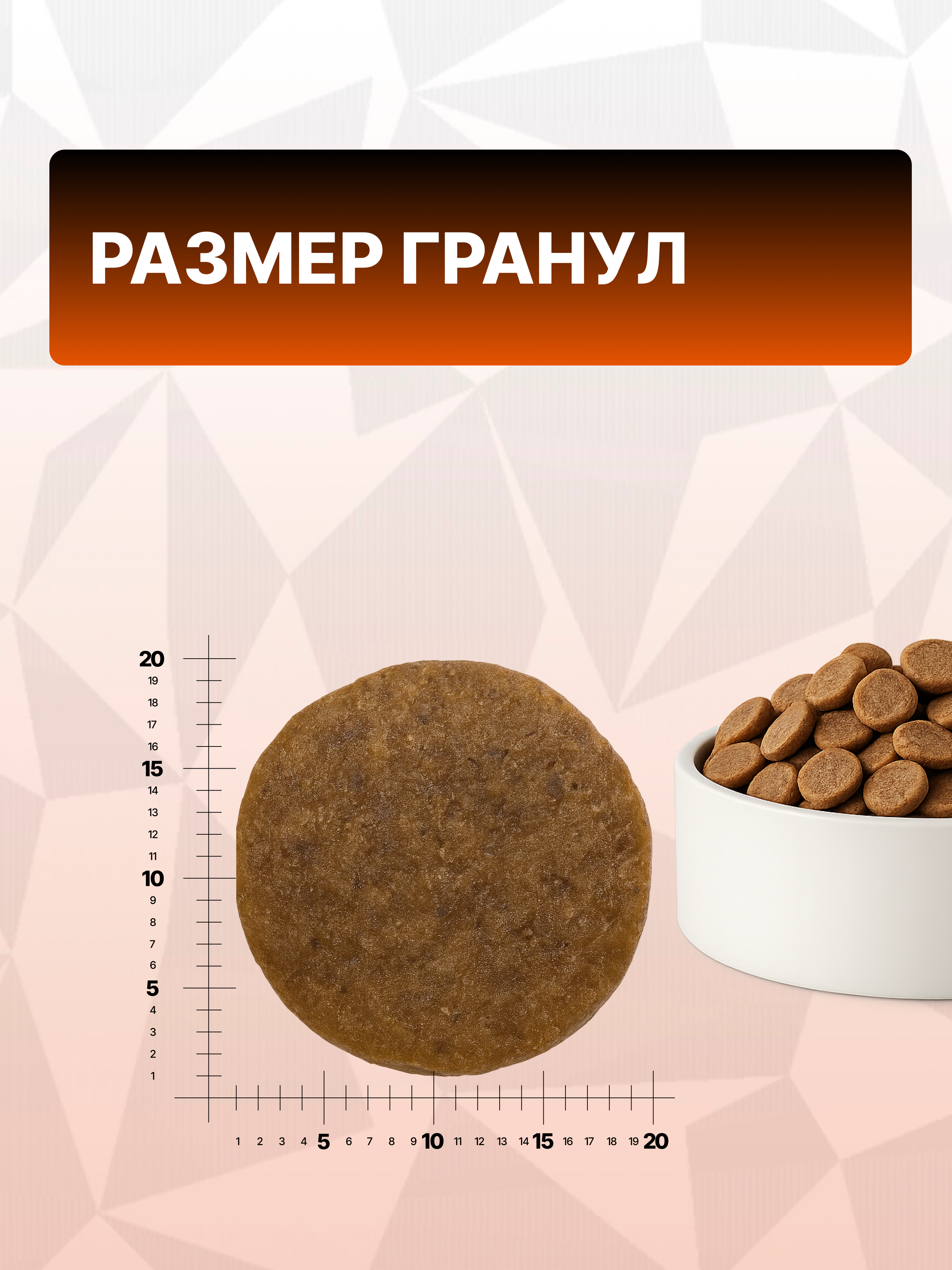 Сухой корм для собак крупных пород GRAND PRIX MONOPROTEIN limited edition, индейка, 12 кг - фото 9