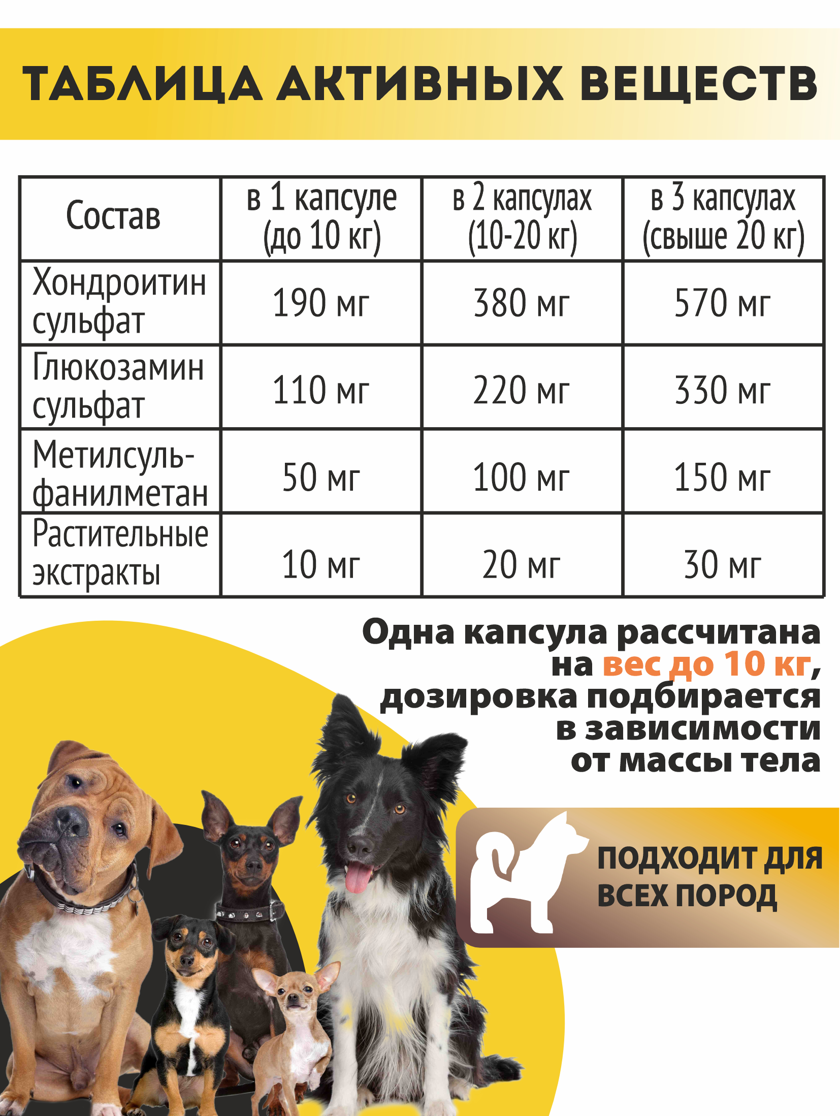 Витаминный комплекс ALTAI ANIMAL для собак Здоровые суставы крепкие кости - фото 6