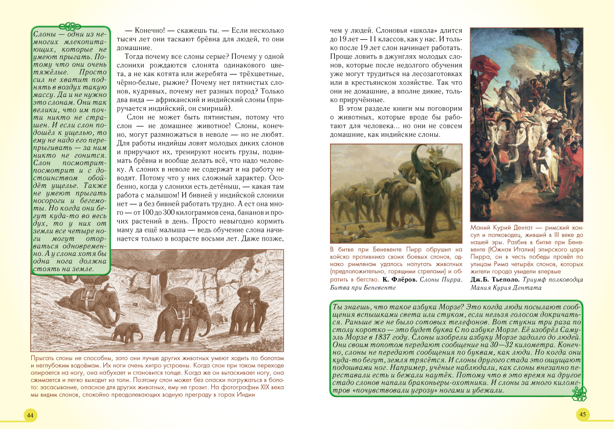 Книга Белый город Домашние животные - фото 7