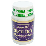 Натуральный грибной препарат Грибная аптека Веселка для лечения онкологии ЖКТ 60 капсул