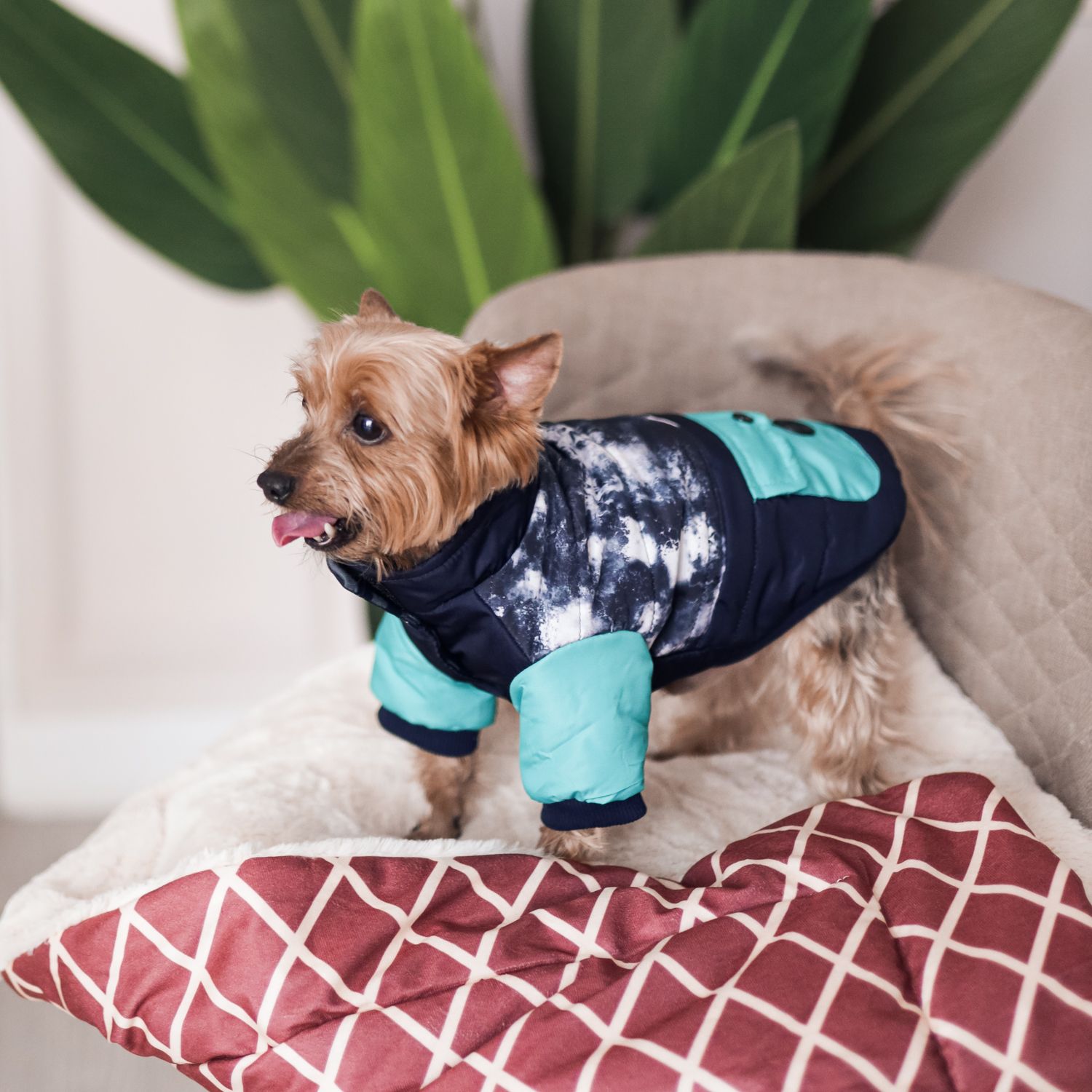 Куртка для собак Не один дома - фото 1