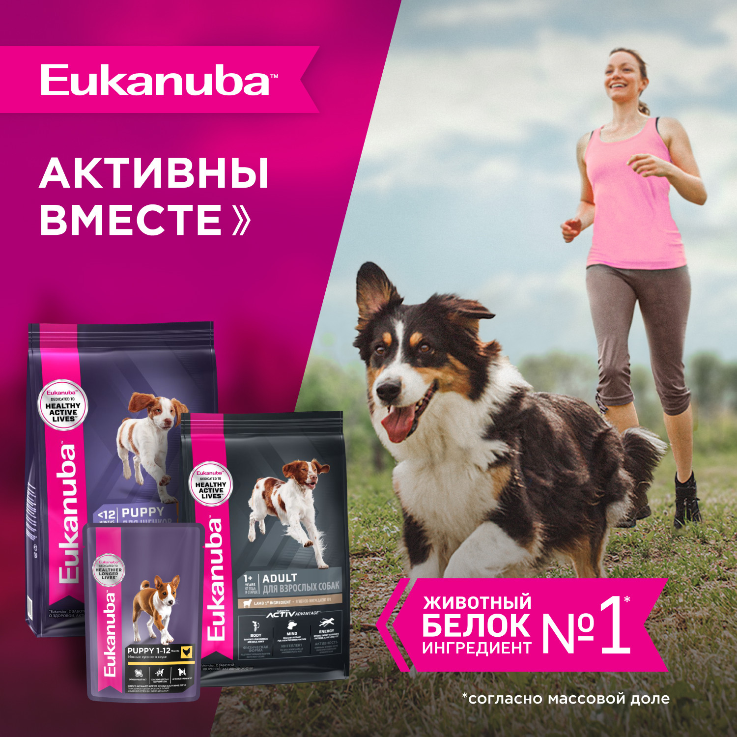 Корм Eukanuba Dog 3кг для щенков средних пород сухой с птицей - фото 7