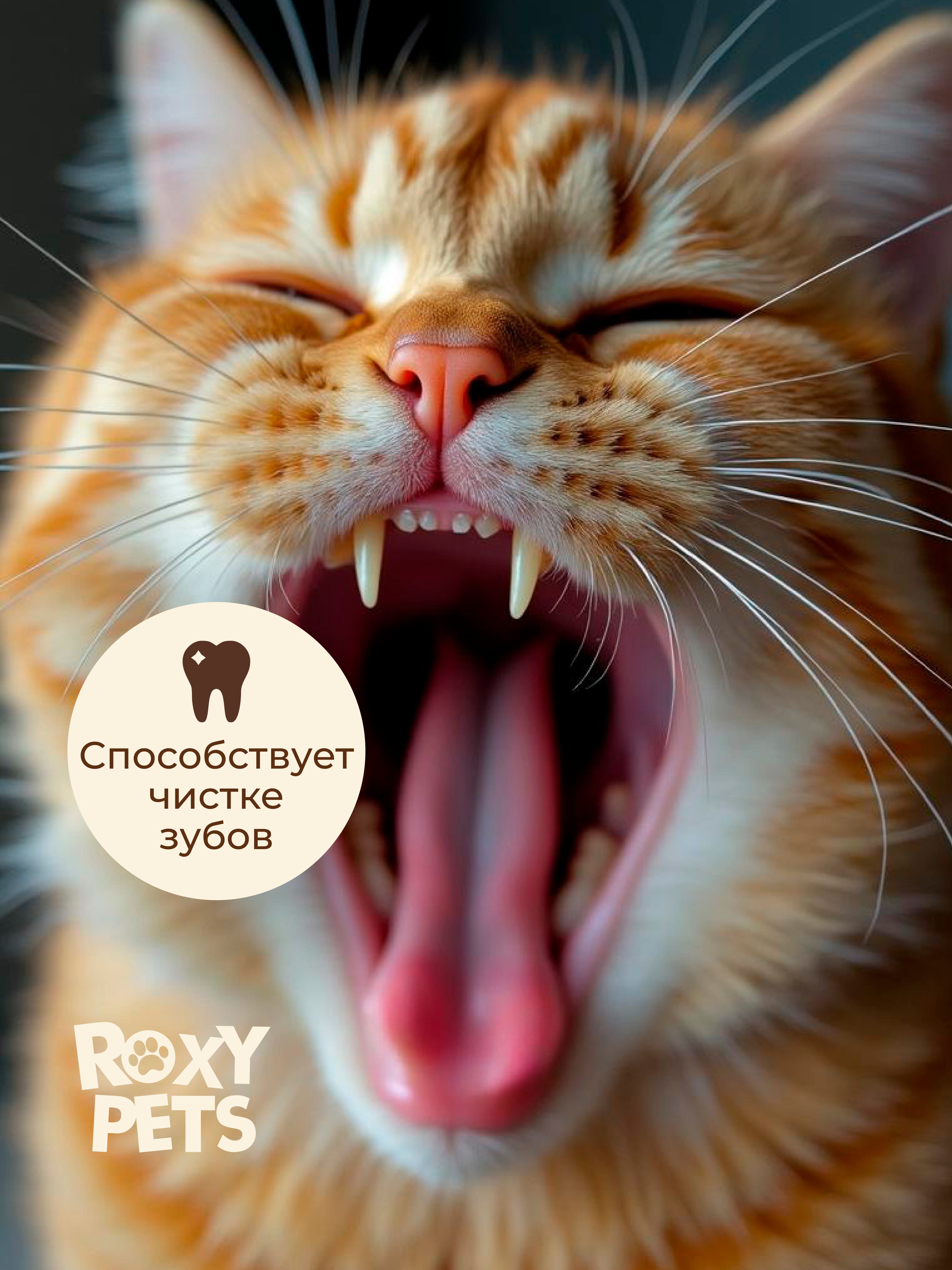 Лакомства для кошек и котят всех пород ROXY PETS из вяленого куриного филе, 3 шт - фото 4