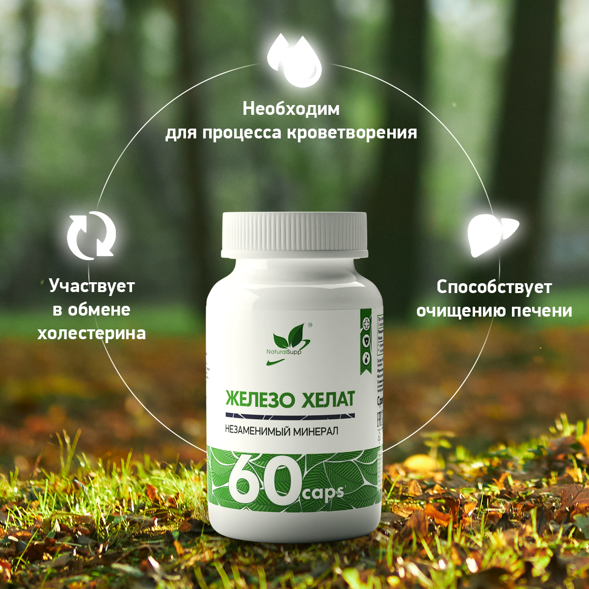 БАД Железо Хелат Бисглицинат 25 мг NaturalSupp Для волос, сердца и сосудов 60 капсул - фото 3