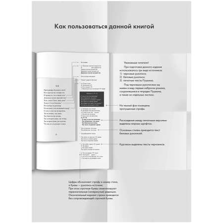 Книга Проспект Евгений Онегин Пропущенные строфы Другие редакции и варианты