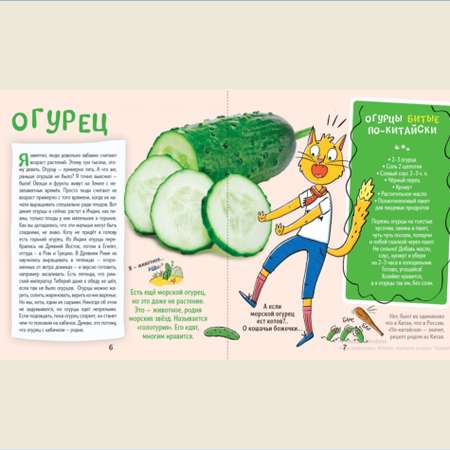 Книга АЙАР Кот Брюс и фрукты-овощи