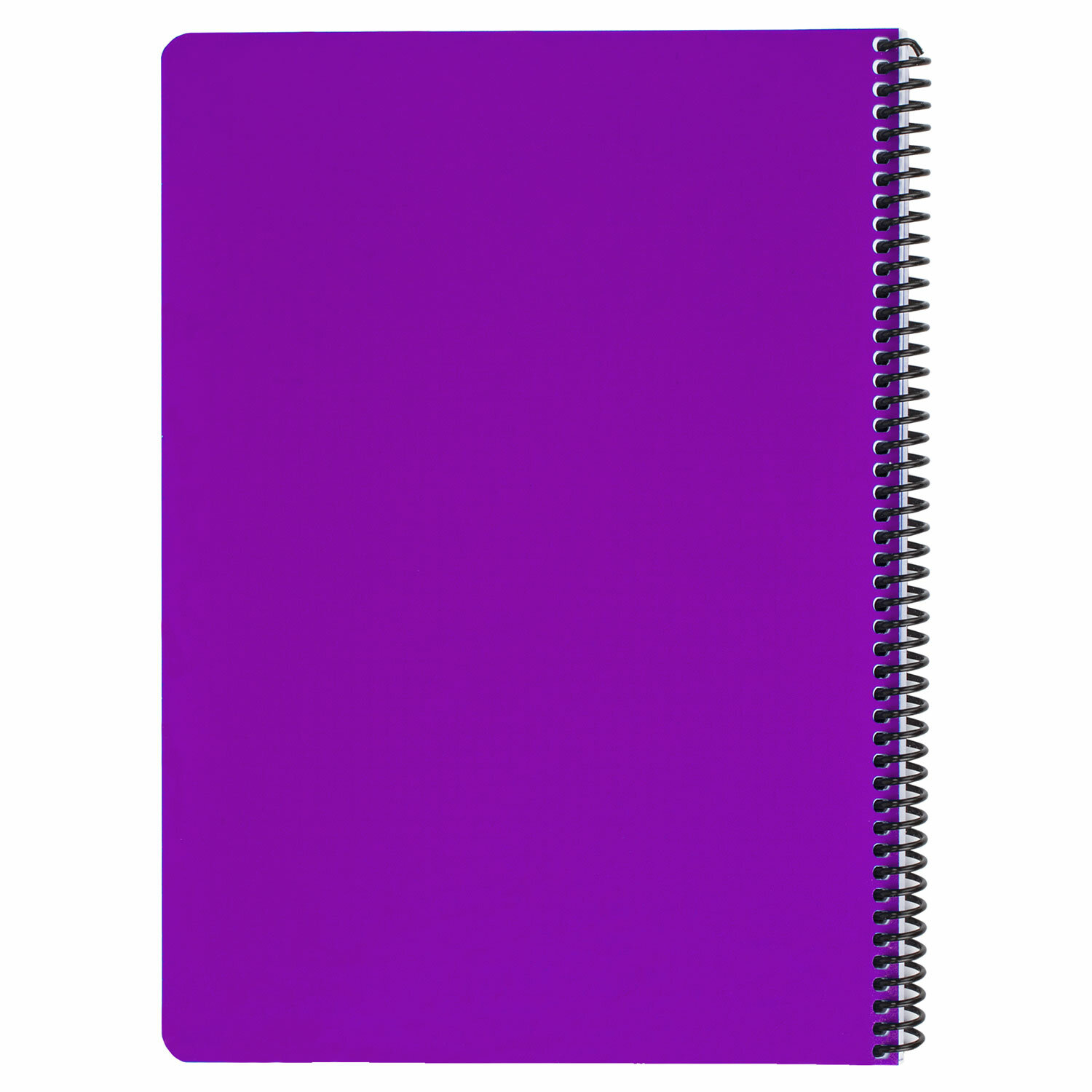 Общая тетрадь Brauberg клетка 80 лист. - фото 7