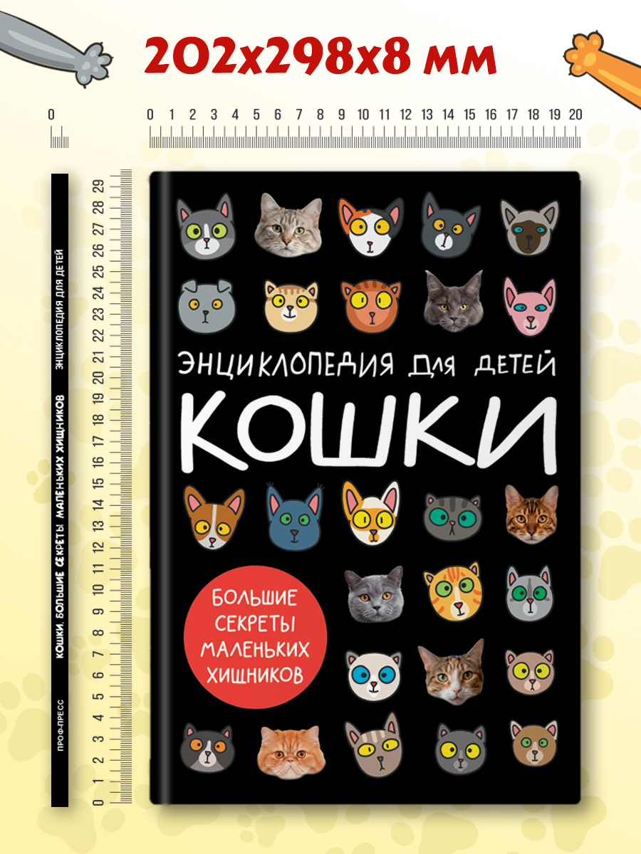 Книга Проф-Пресс детская энциклопедия Кошки. Большие секреты маленьких хищников - фото 9