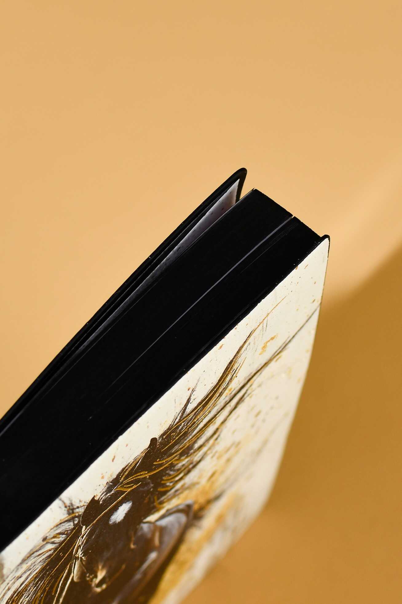 Ежедневник Феникс + ESCALADA 176 лист. - фото 11