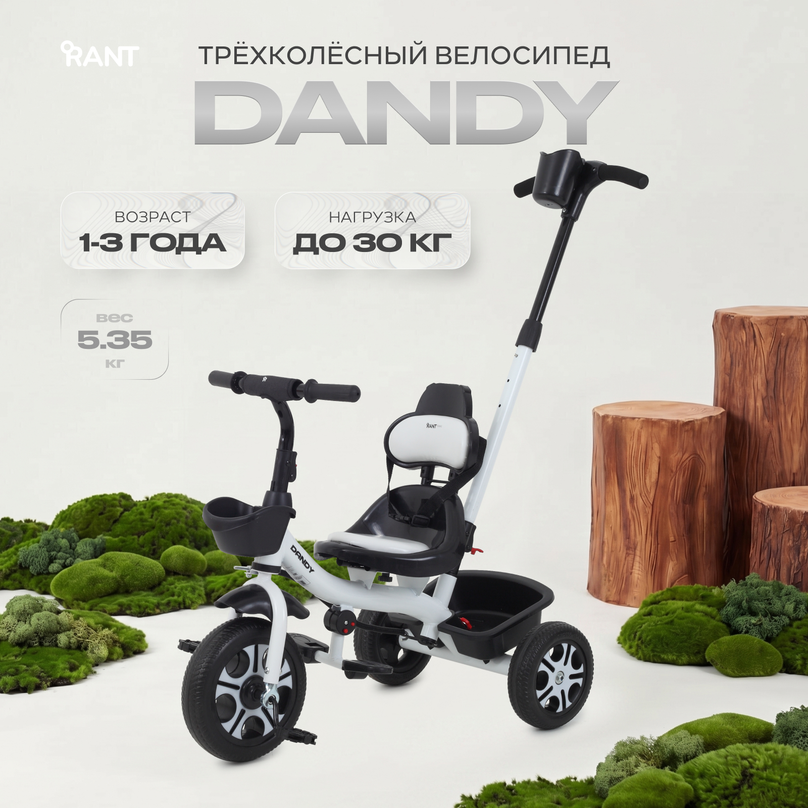 Изображение товара Детский трёхколёсный велосипед Rant Basic 10 дюймов с родительской ручкой Dandy white