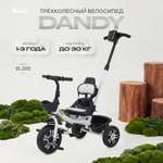 Трехколесный велосипед Rant Basic 10 дюймов