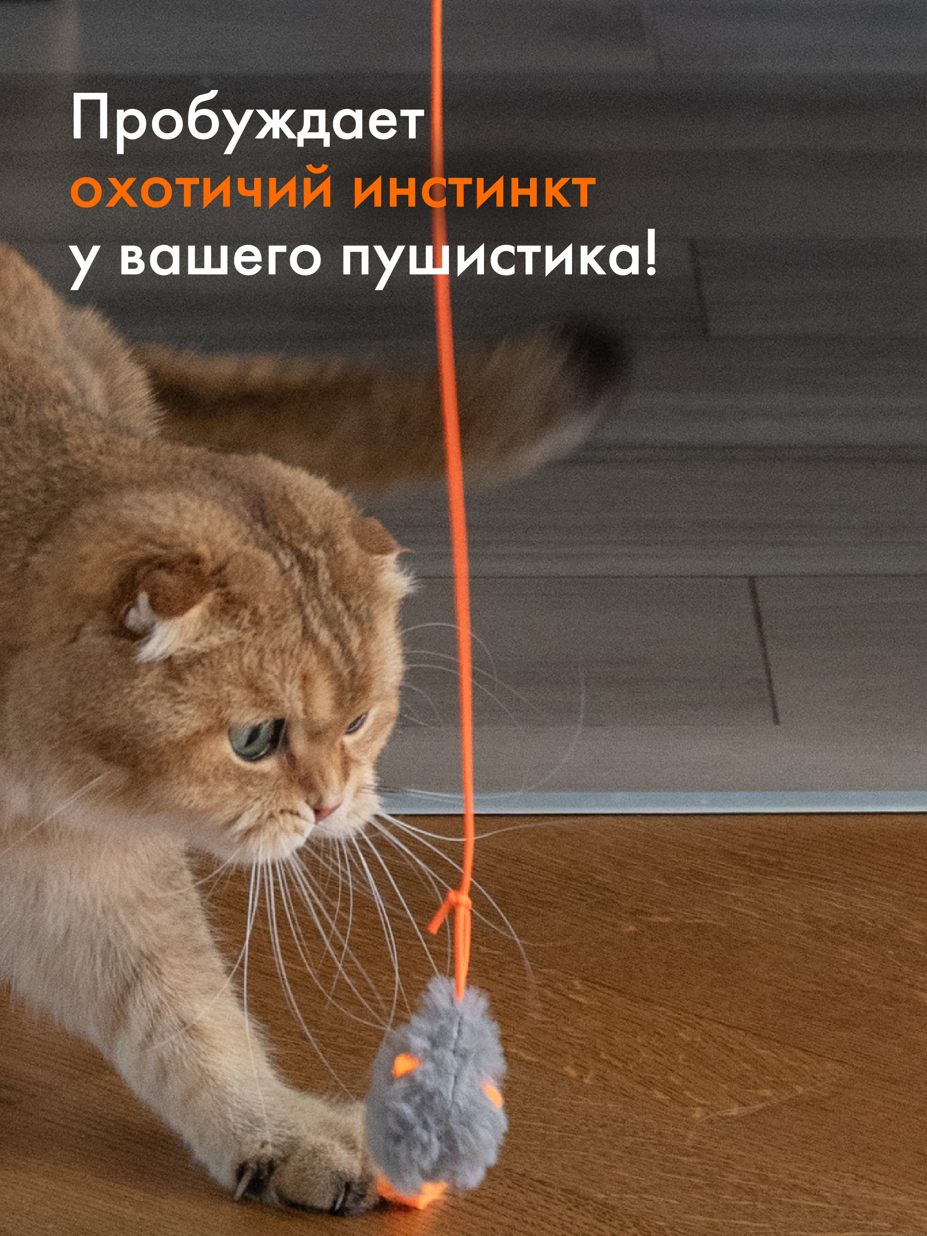 Интерактивная игрушка Pet Flat Умная дразнилка для кошек с мышкой - фото 4