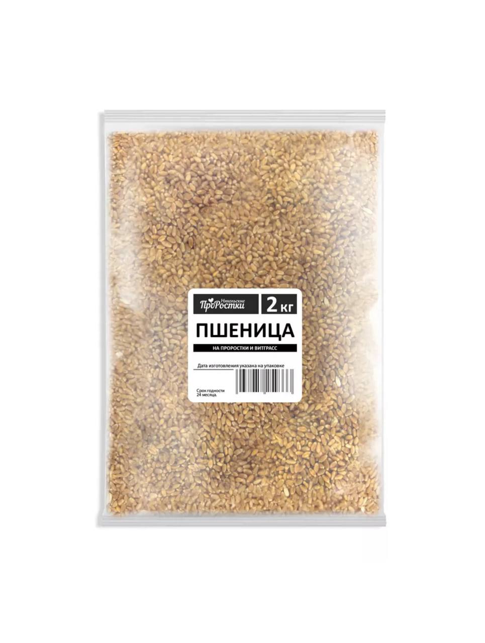 Семена для микрозелени Никольские ПроРостки пшеница - фото 1