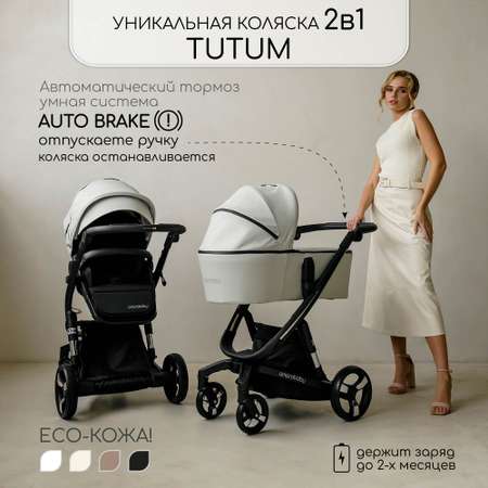 Коляска 2 в 1 Amarobaby Tutum