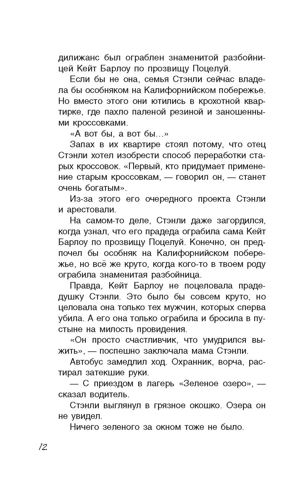 Книга Качели Ямы - фото 3
