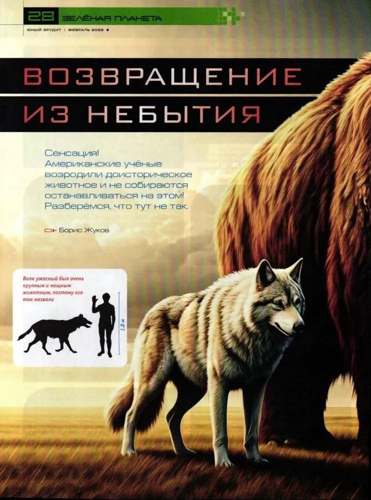 Набор детских журналов ИД Лев Юный Эрудит №1 и №2 2026г - фото 2