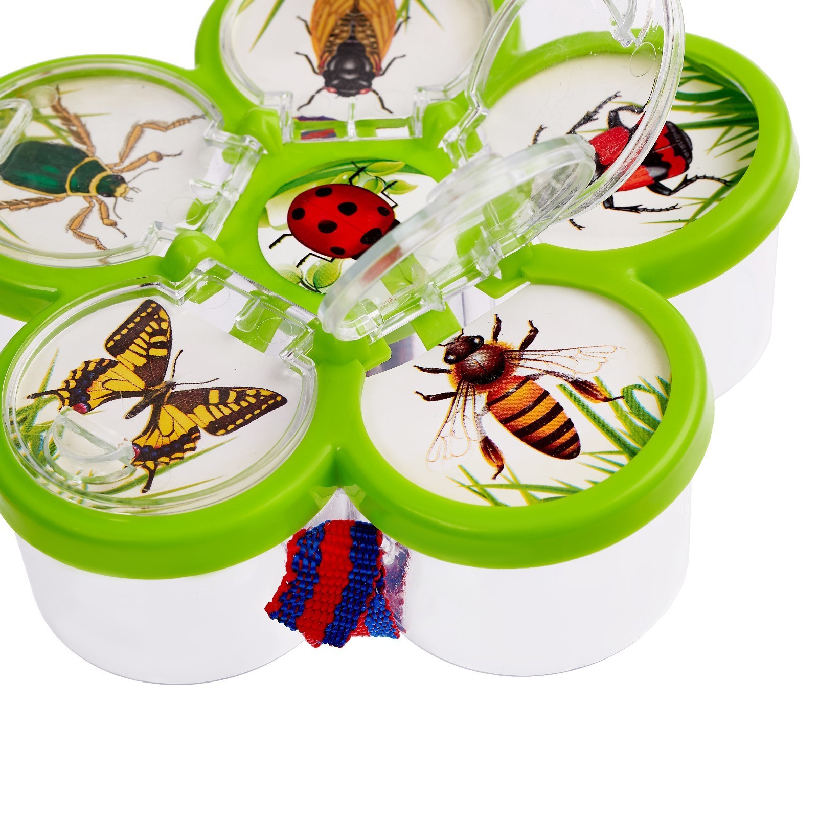 Набор для опытов Эврики Изучаем насекомых - фото 4