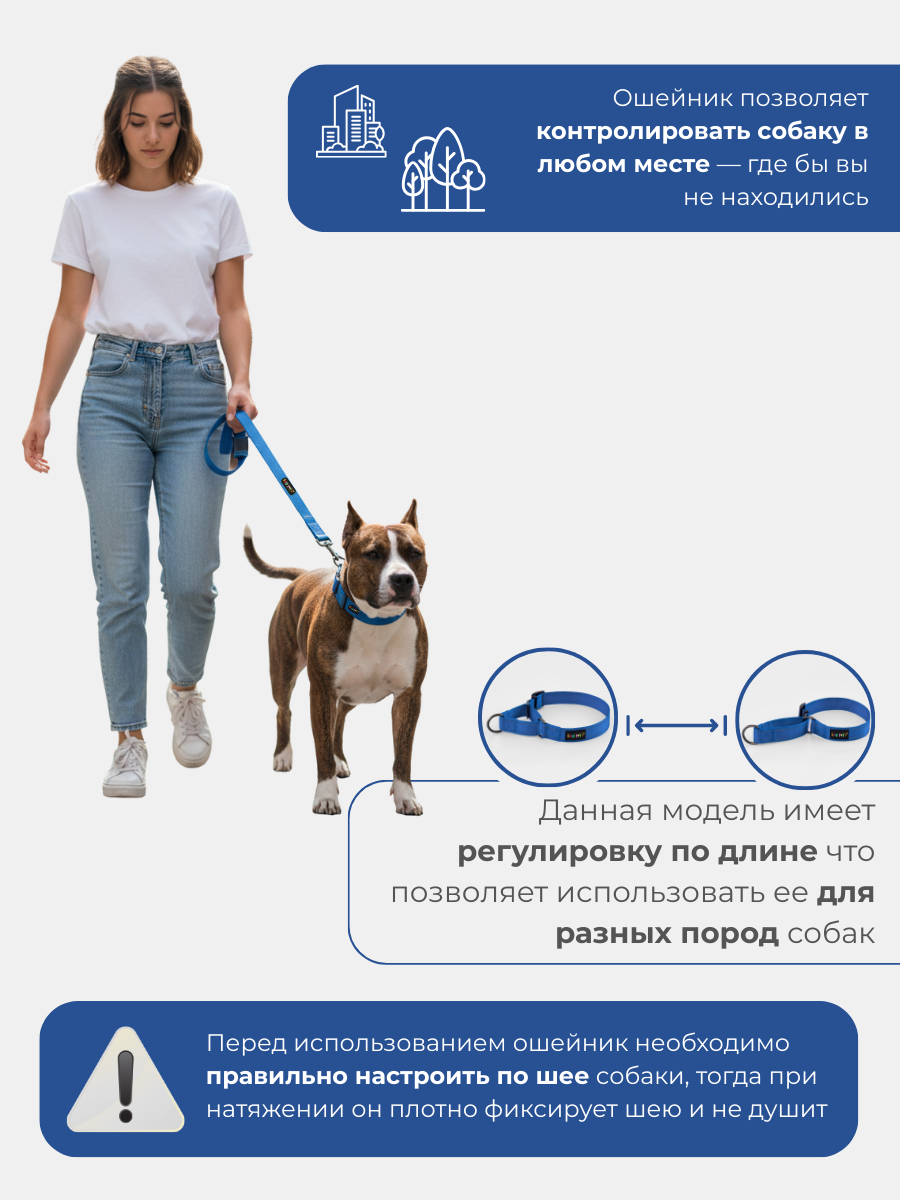Ошейник для собак Easy Pets 5003 Martingale синий р-р M 30-50см - фото 6