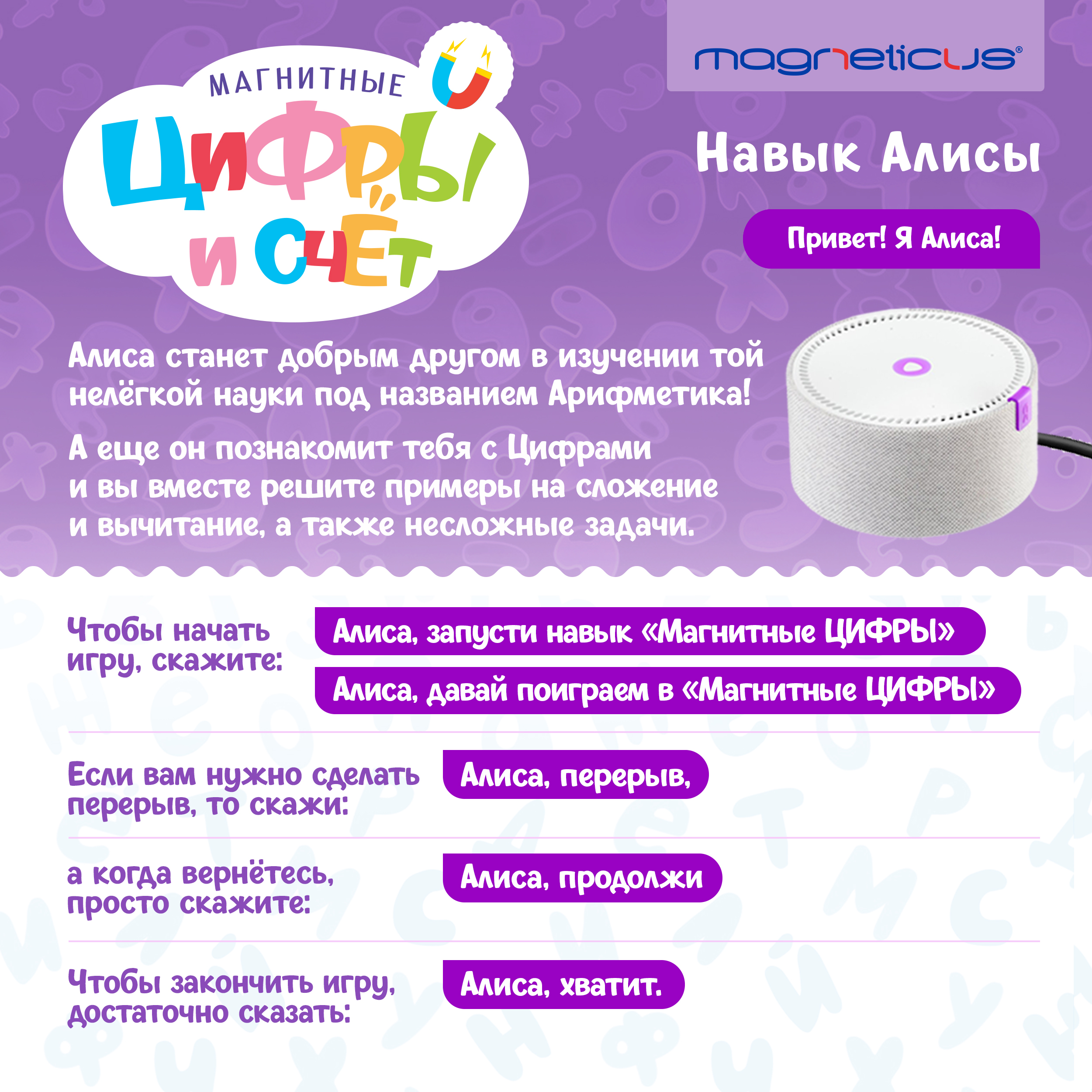 Настольная игра MAGNETICUS - фото 5