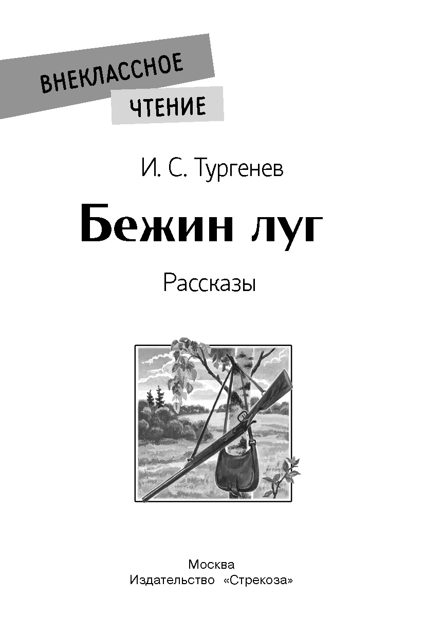 Книга СТРЕКОЗА Внеклассное чтение - фото 2