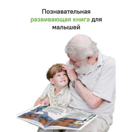 Камень, который катился с горки. Никея Сказка-быль для малышей