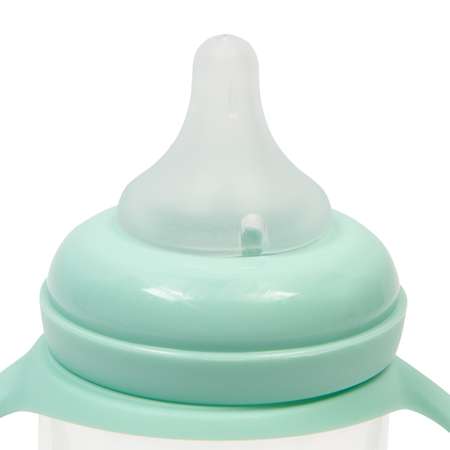 Бутылочка BabyGo 270 мл 1 шт.