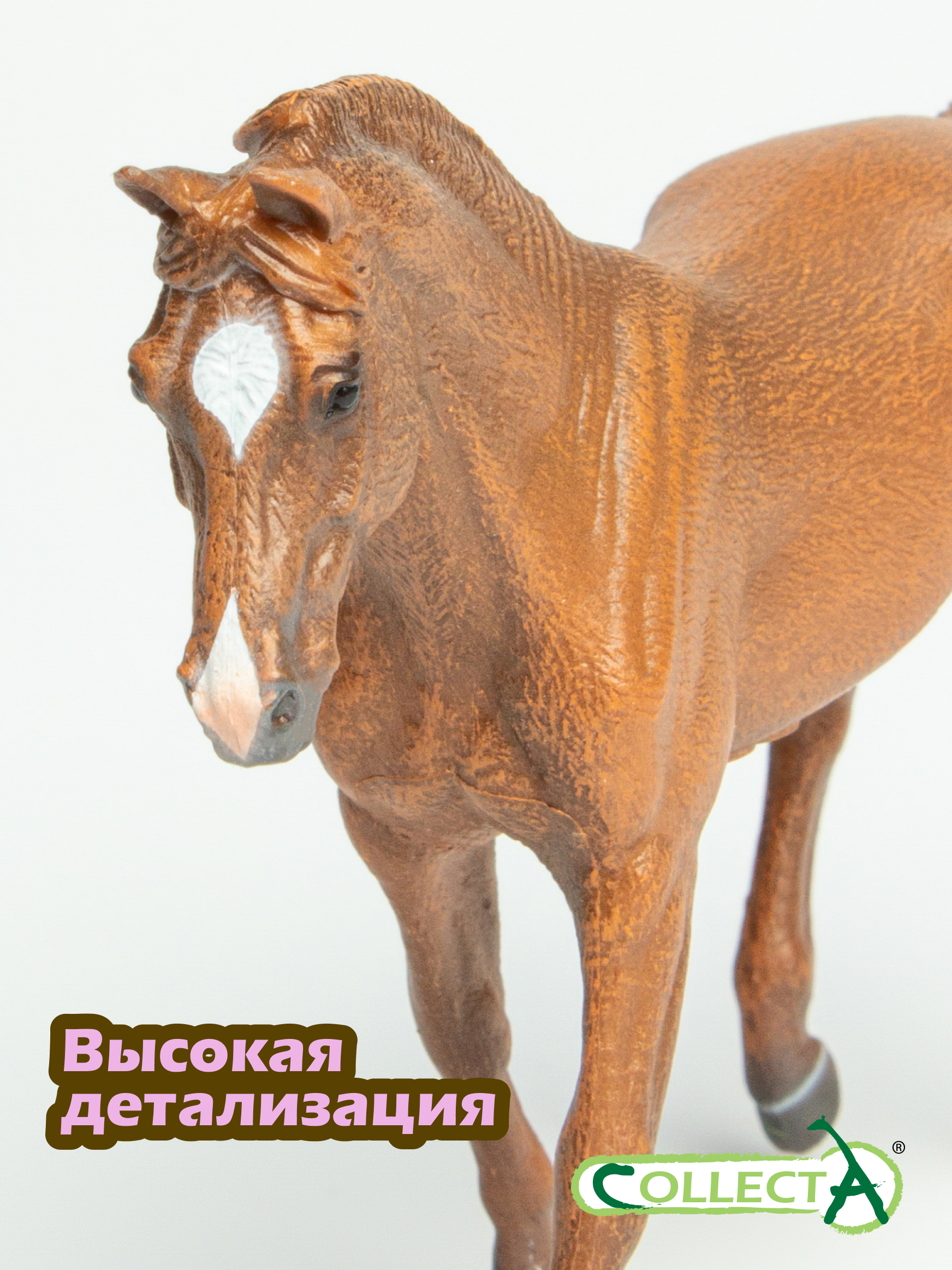 Фигурка Collecta Миссурийская кобыла - фото 3