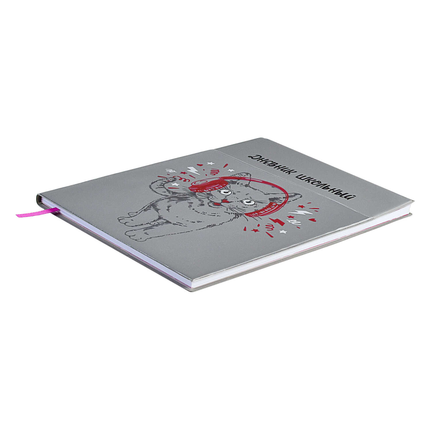 Дневник школьный ФЕНИКС+ класс А5+ 48 листов мягкий переплёт ПВХ ляссе карман на лицевой части обложки - фото 4