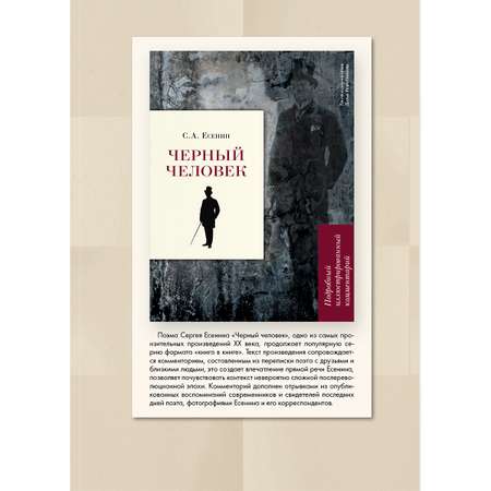 Книга Проспект Двенадцать. Блок. Школьная программа