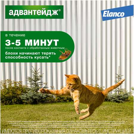Препарат инсектоакарицидный для кошек Elanco Адвантейдж 0.4мл 4пипетки