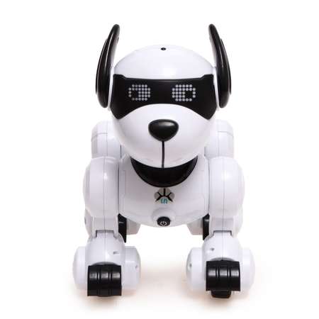 Собака РУ IQ BOT Тобби