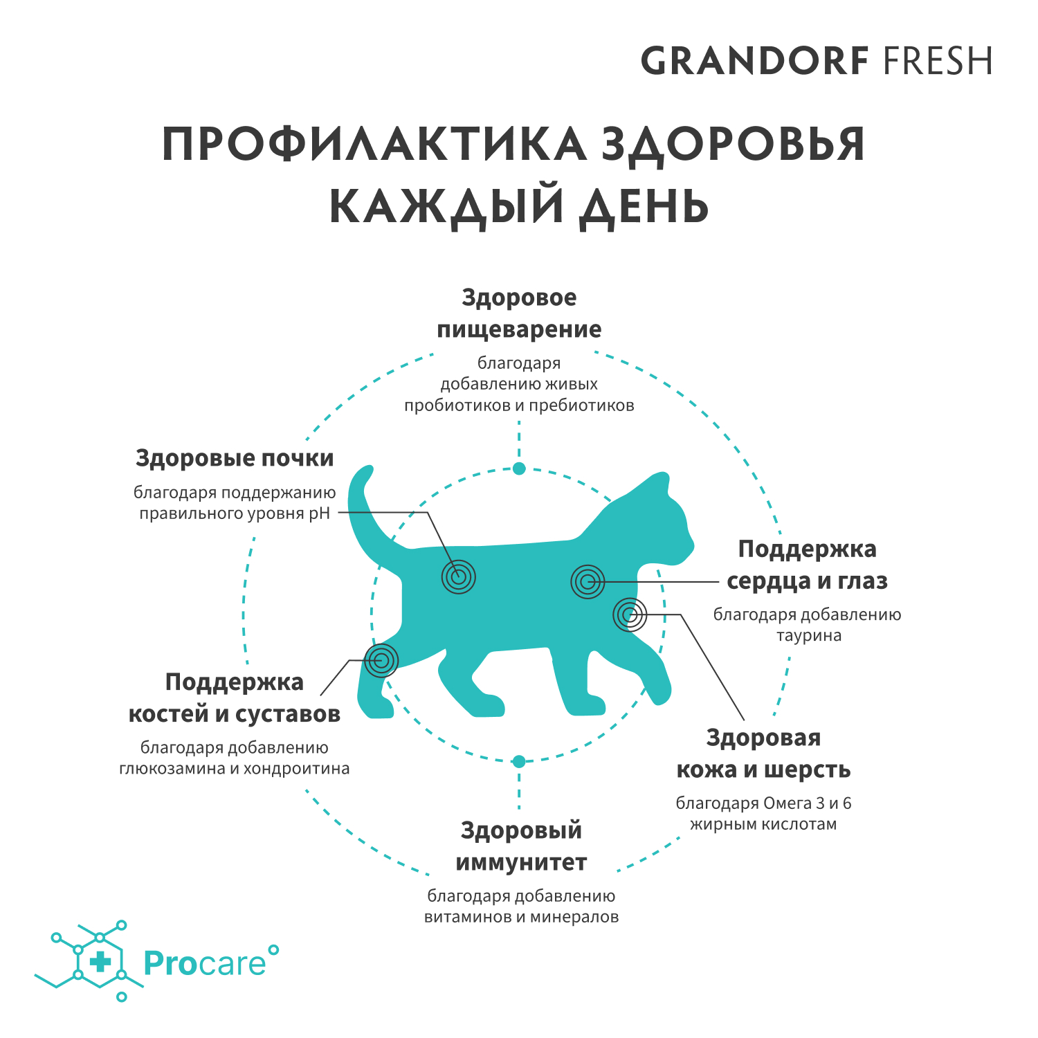 Корм для котят Grandorf Fresh Cat Kitten Lamb/Sweet Potato 2кг свежее мясо ягненка с бататом беззерн с жив пробиотиками - фото 7
