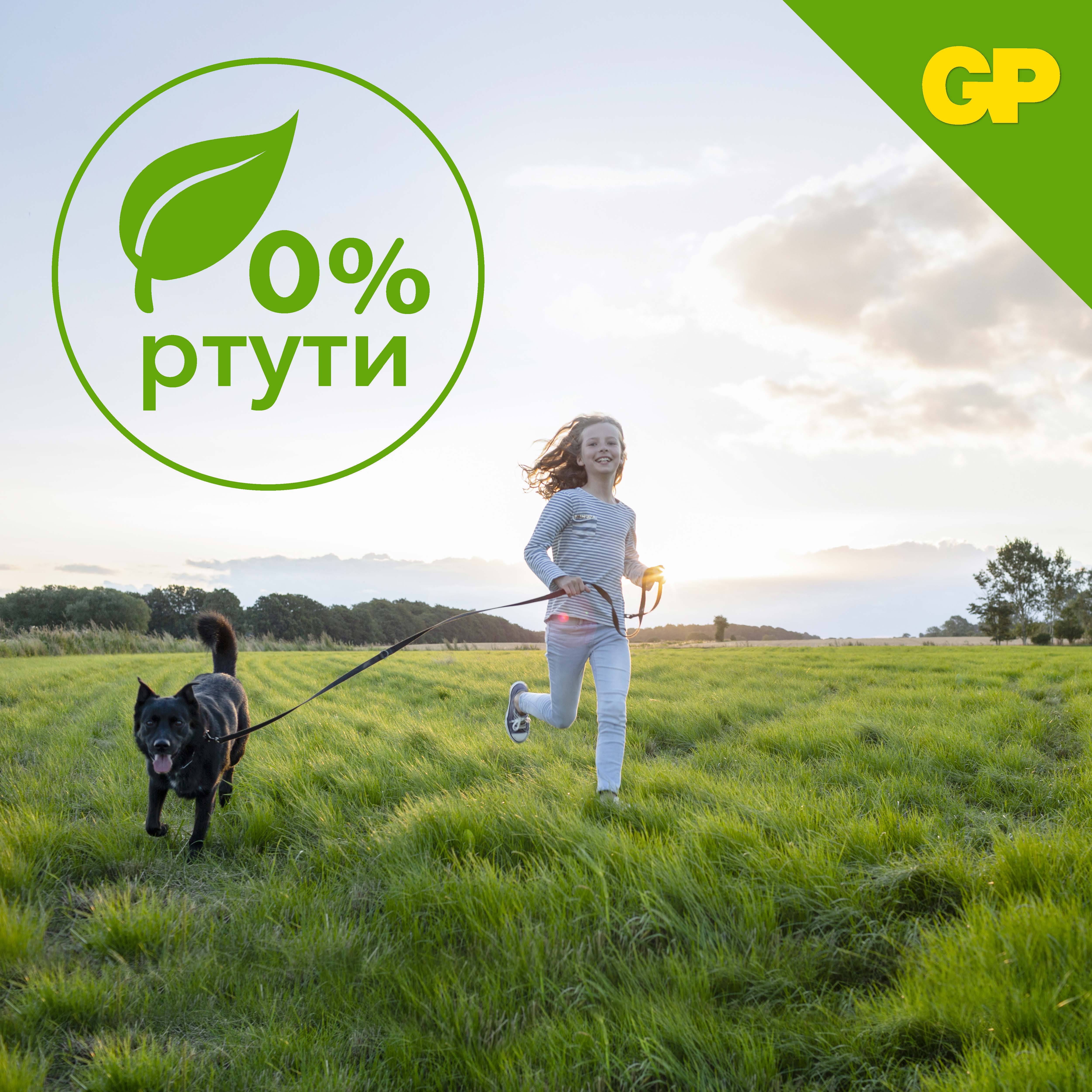 Набор цинковых батареек GP типоразмера PR70 6 штук в упаковке - фото 13