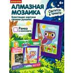 Алмазная мозаика Bondibon Картина Совушка