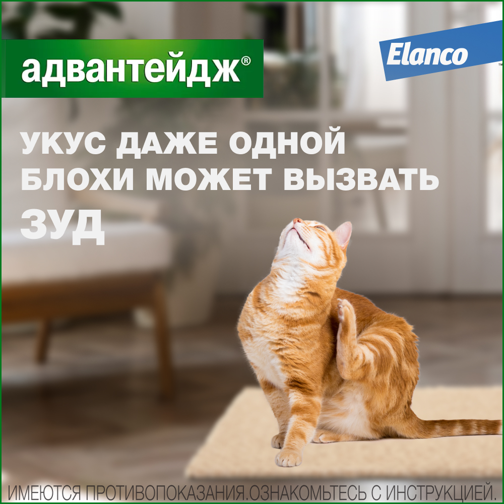 Препарат инсектоакарицидный для кошек Elanco Адвантейдж 0.4мл 4пипетки - фото 3