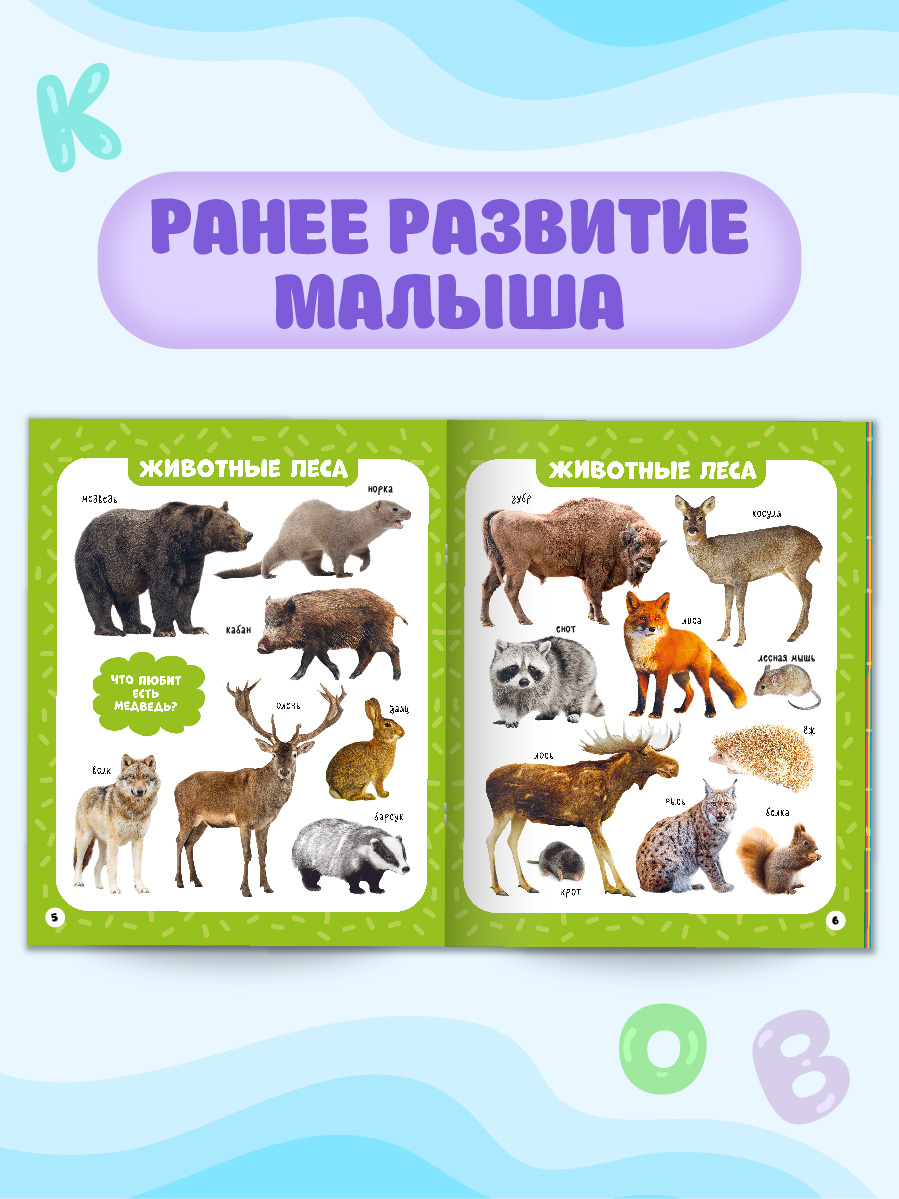 Книжки развивающие Проф-Пресс Мои первые слова Животные+Овощи фрукты и другие продукты - фото 4