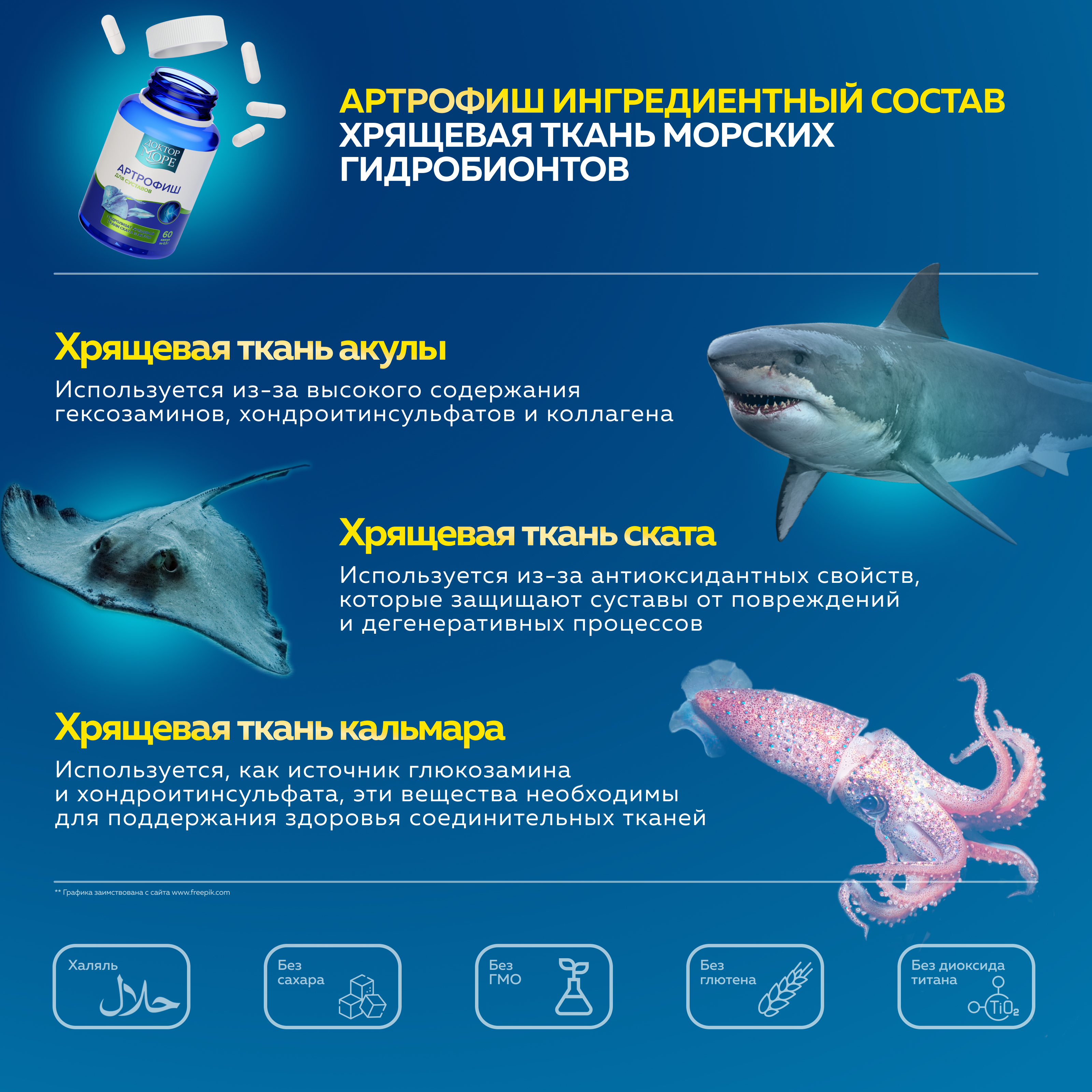 Морской хондропротектор витамины Доктор Море для суставов и связок 120 капсул + 150 мл - фото 5