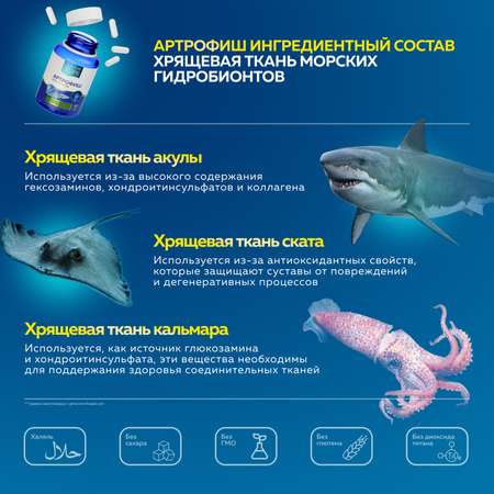 Морской хондропротектор витамины Доктор Море для суставов и связок 120 капсул + 150 мл