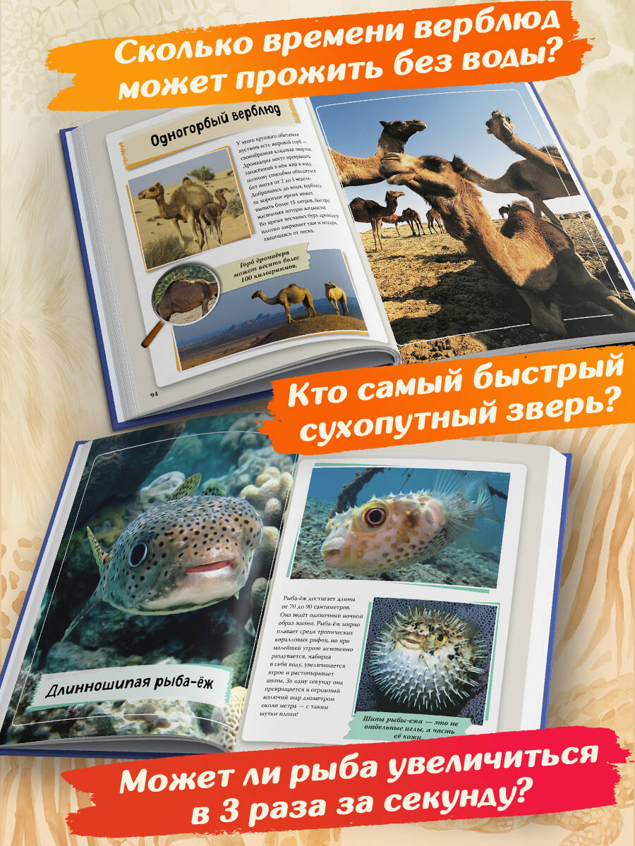 Книга Эксмо Удивительные животные нашей планеты - фото 3