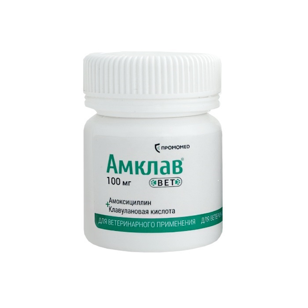 Таблетки Амклав вет для приема внутрь 100мг №10 - фото 1