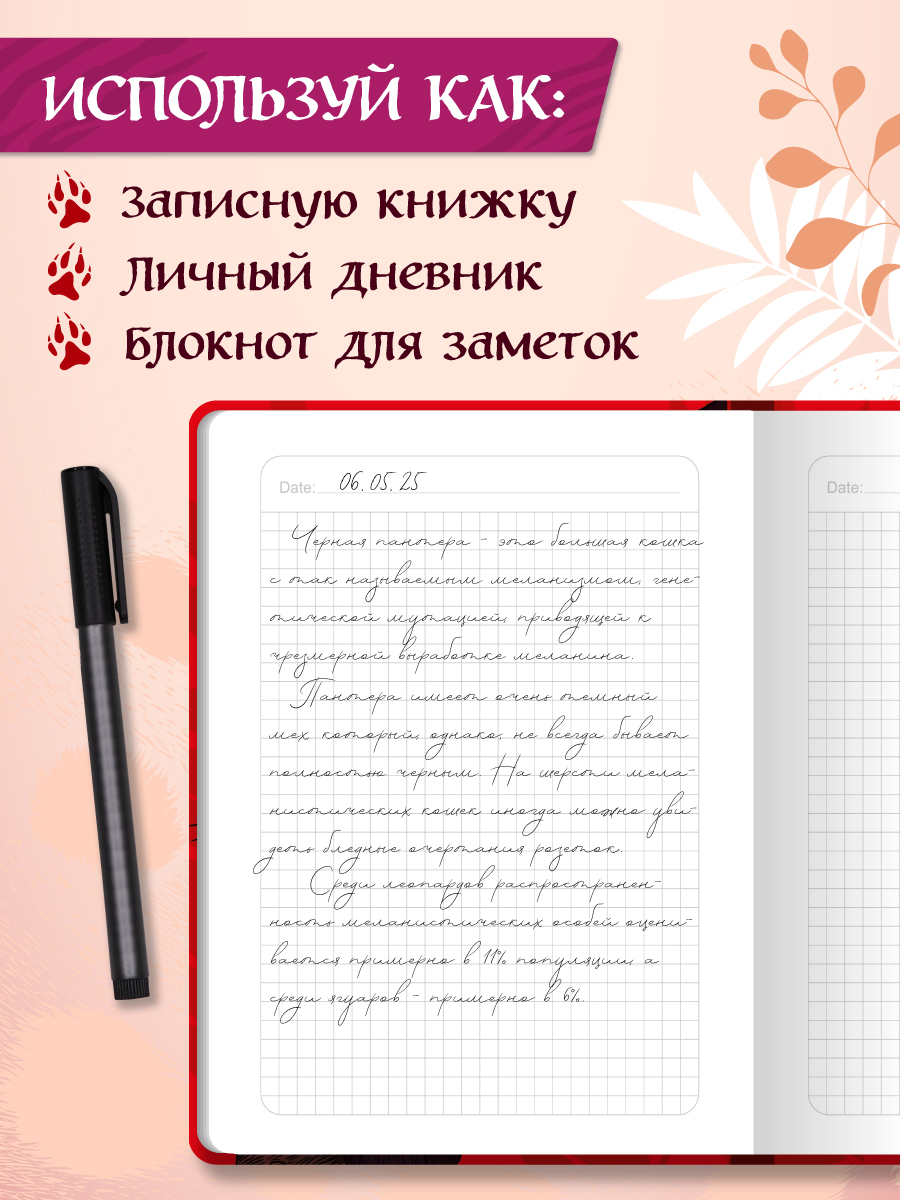 Блокнот Проф-Пресс в клетку А5. Чёрная кошка 128 лист. - фото 4