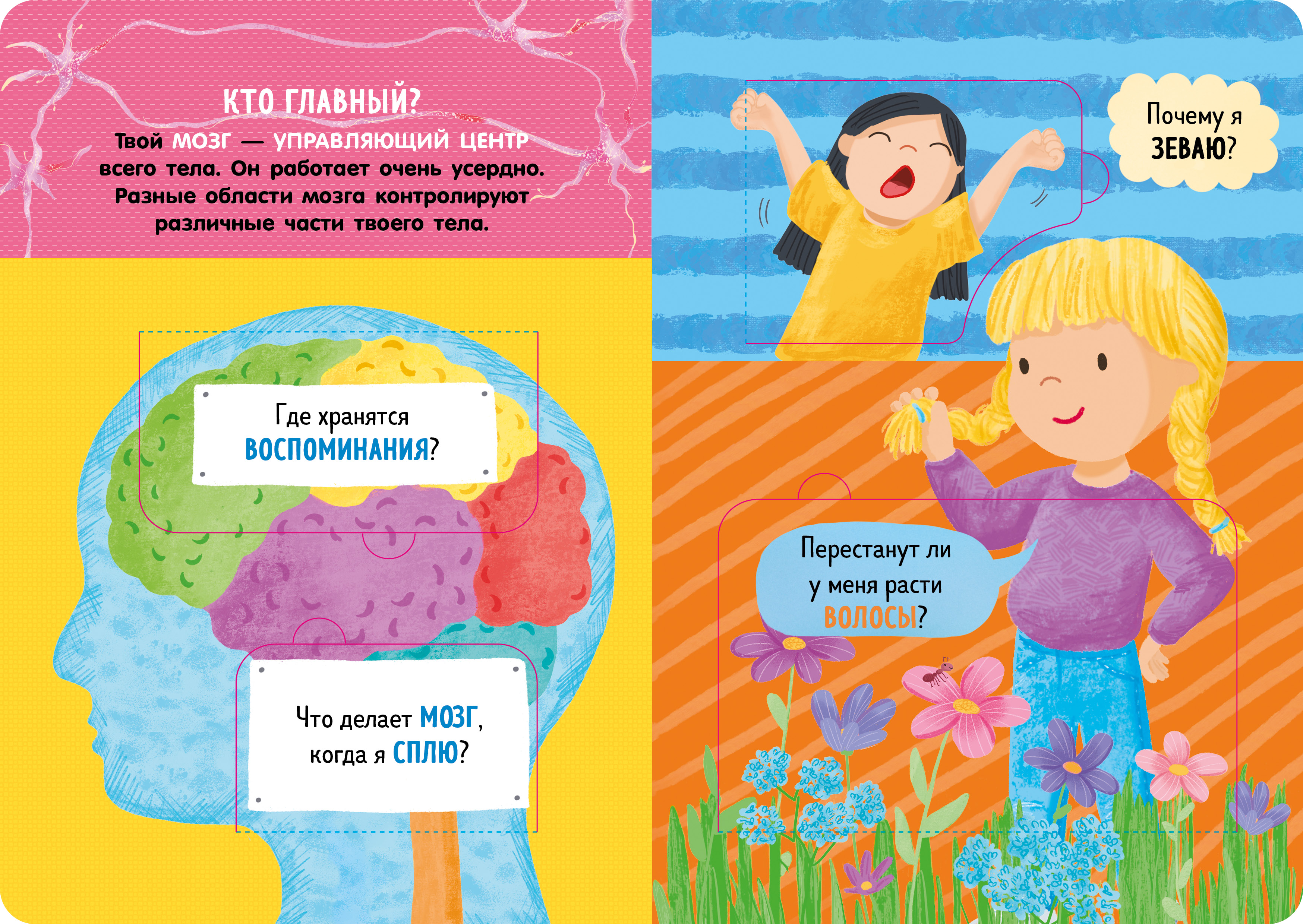 Книга Clever с окошками Как устроено тело человека - фото 2
