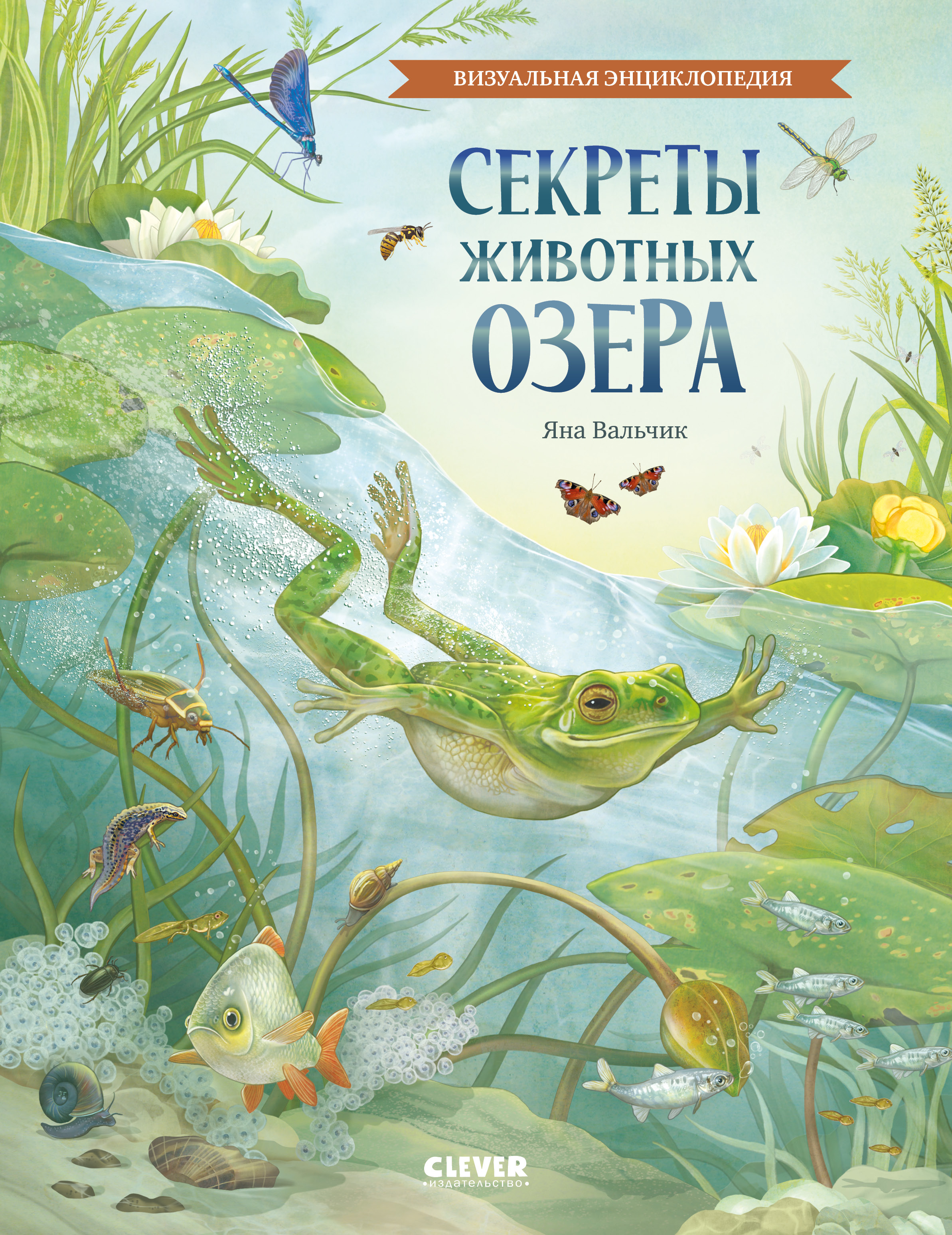 Книга Clever Удивительные энциклопедии - фото 1