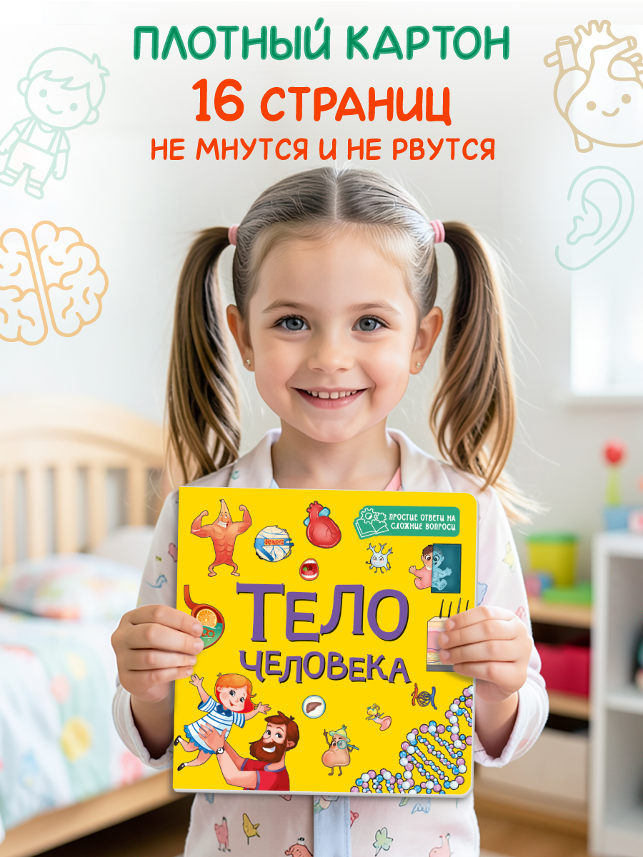 Книжка картонная Проф-Пресс энциклопедия Тело человека - фото 2